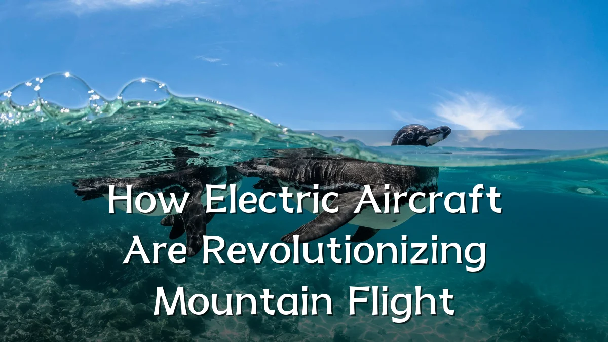 How Electric Aircraft Are Revolutionizing Mountain Flight