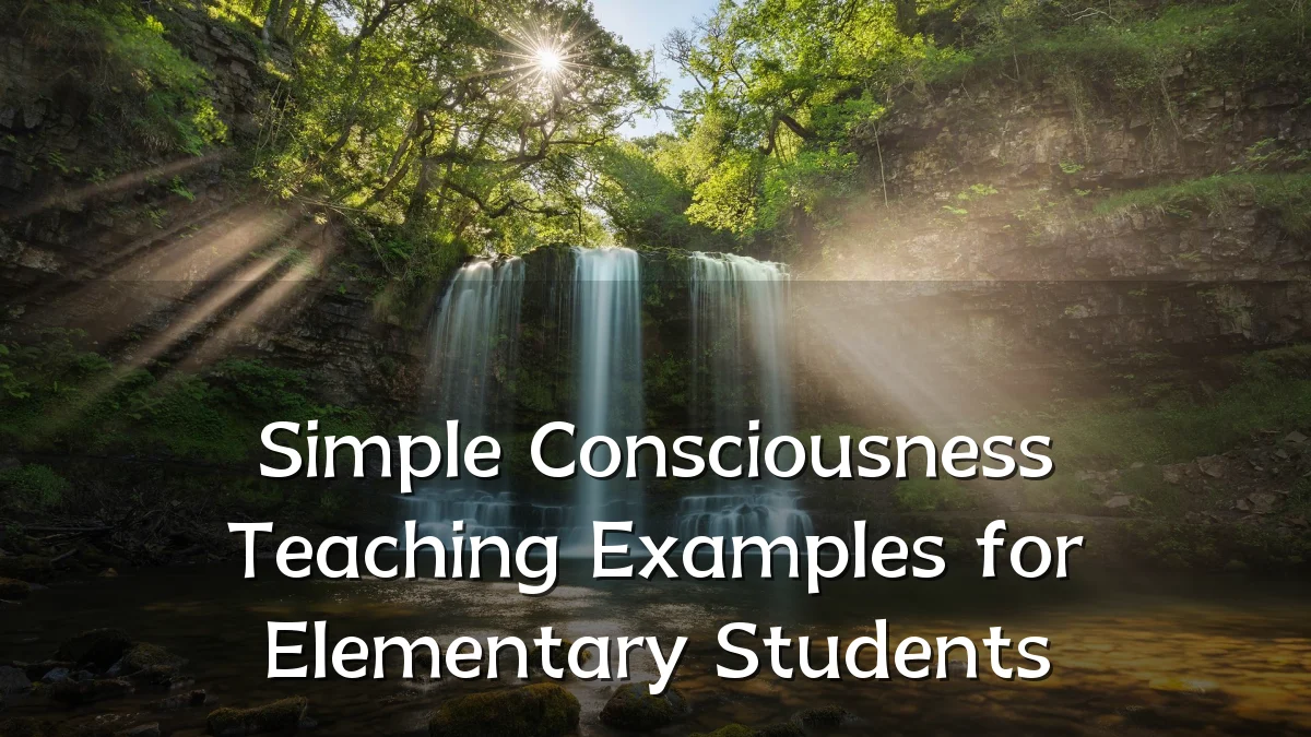Simple Consciousness Teaching Examples for Elementary Students