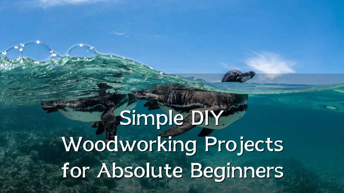 Simple DIY Woodworking Projects for Absolute Beginners