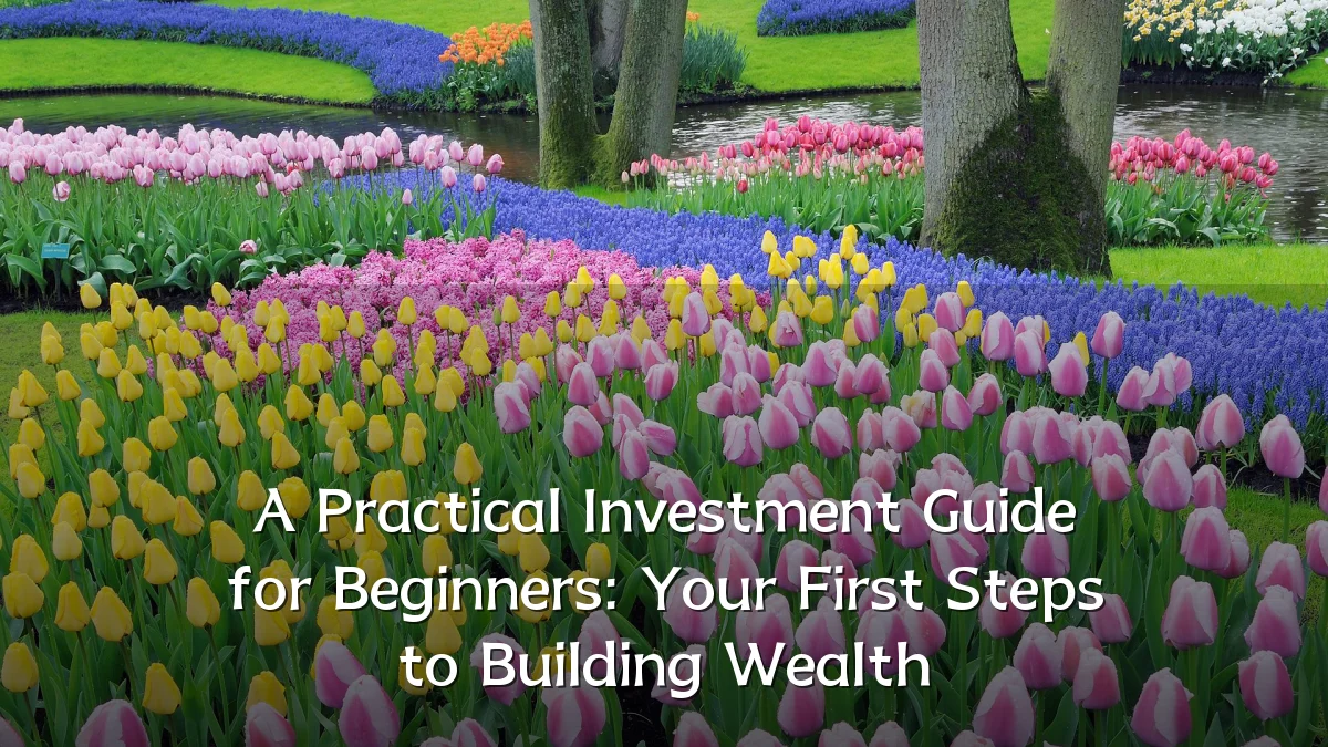 A Practical Investment Guide for Beginners: Your First Steps to Building Wealth
