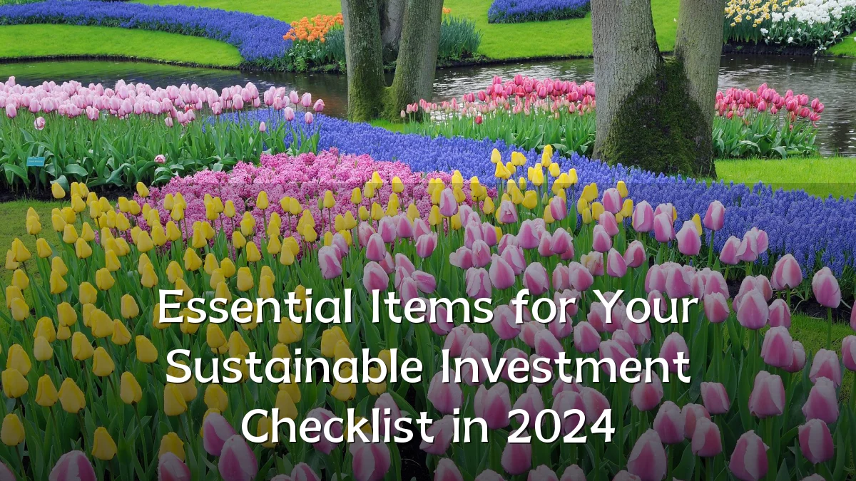Essential Items for Your Sustainable Investment Checklist in 2024