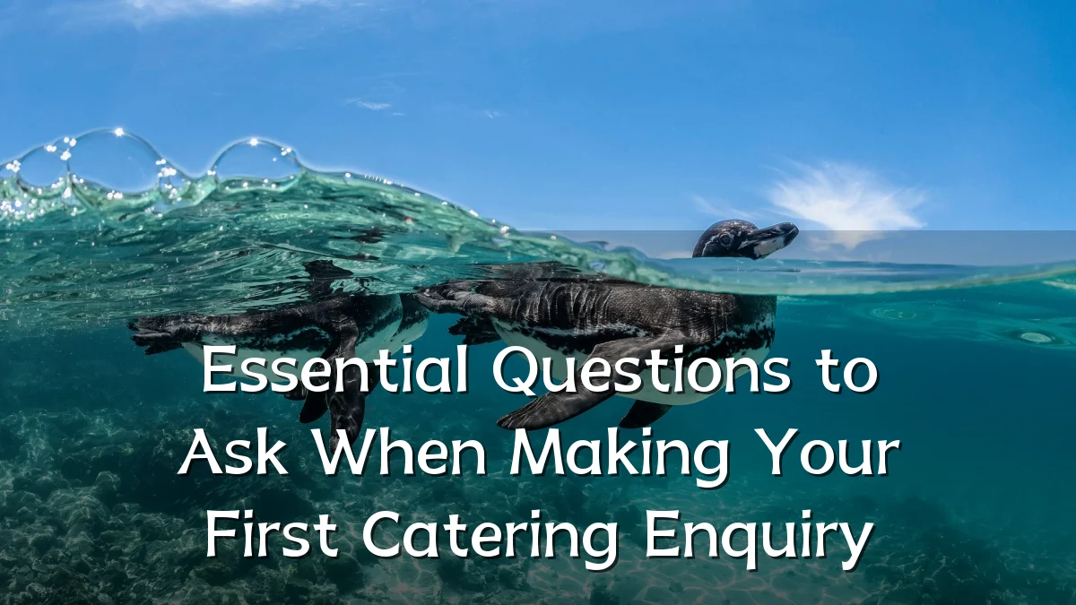 Essential Questions to Ask When Making Your First Catering Enquiry