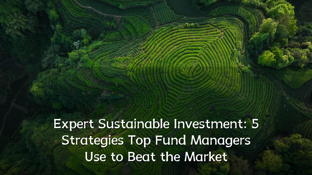 Expert Sustainable Investment: 5 Strategies Top Fund Managers Use to Beat the Market