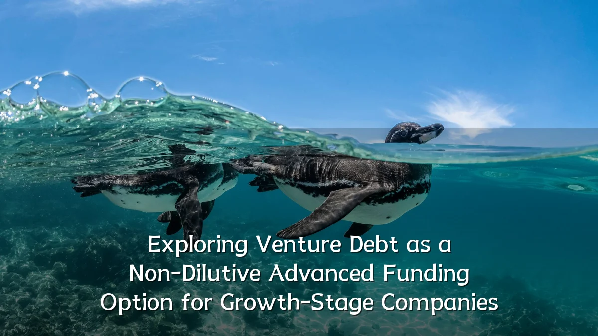 Exploring Venture Debt as a Non-Dilutive Advanced Funding Option for Growth-Stage Companies