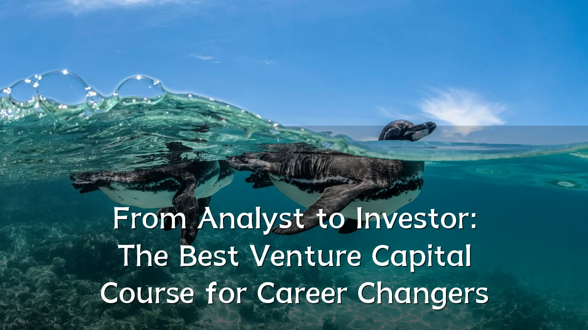 From Analyst to Investor: The Best Venture Capital Course for Career Changers
