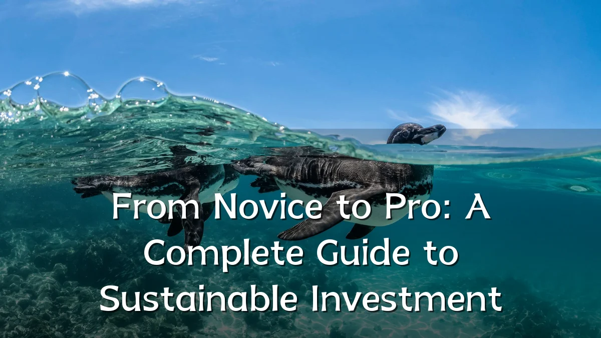 From Novice to Pro: A Complete Guide to Sustainable Investment