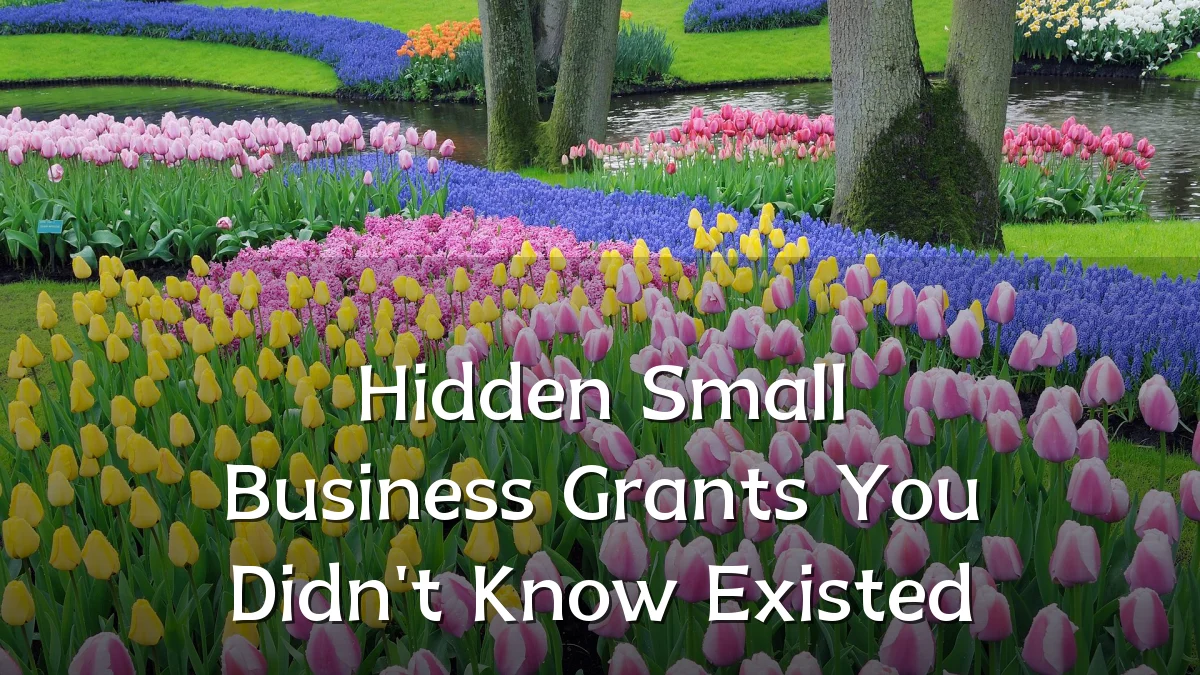 Hidden Small Business Grants You Didn't Know Existed