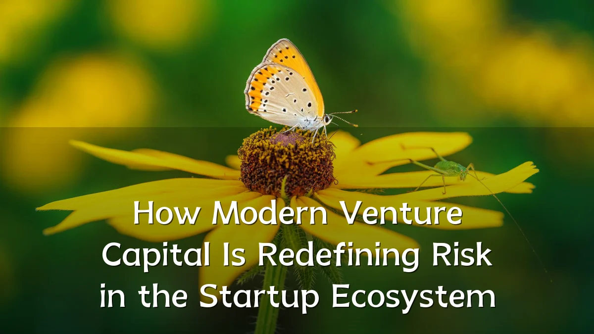 How Modern Venture Capital Is Redefining Risk in the Startup Ecosystem