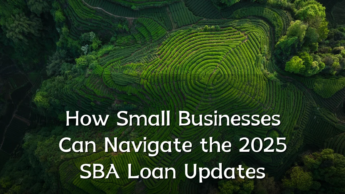 How Small Businesses Can Navigate the 2025 SBA Loan Updates
