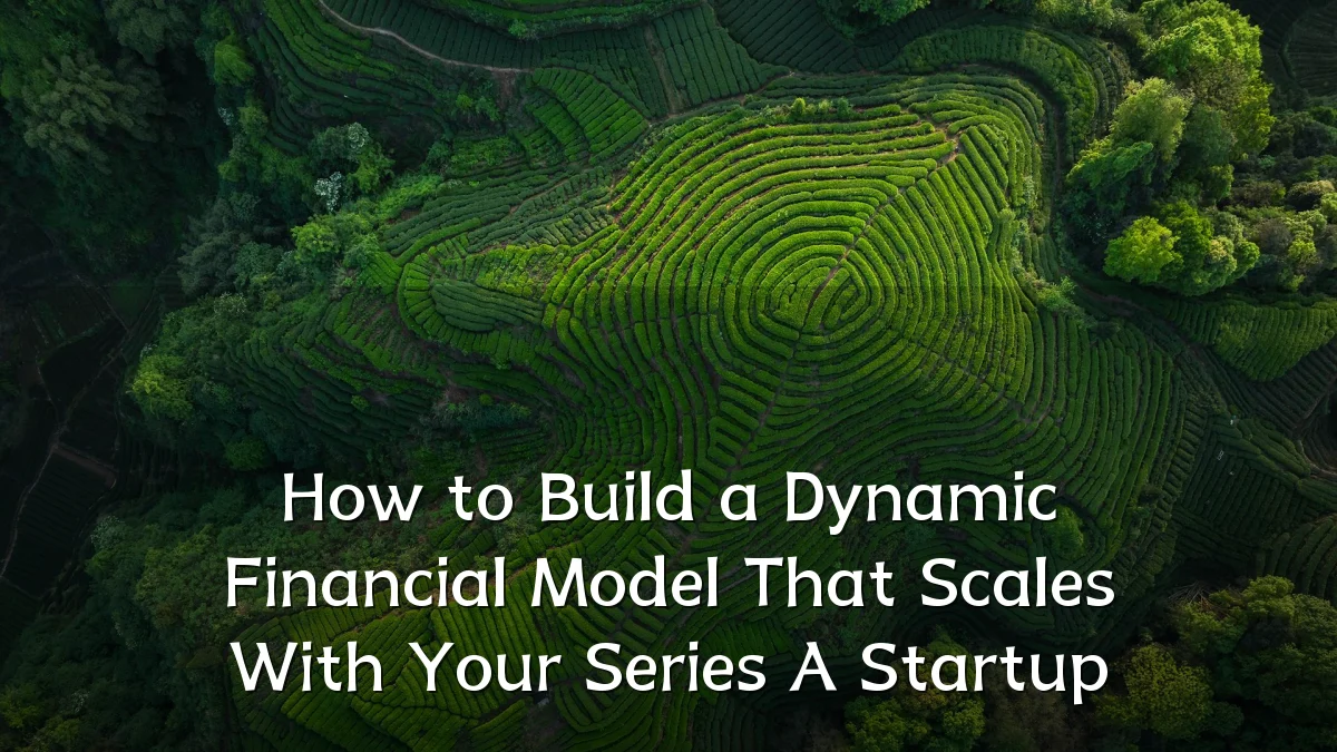 How to Build a Dynamic Financial Model That Scales With Your Series A Startup