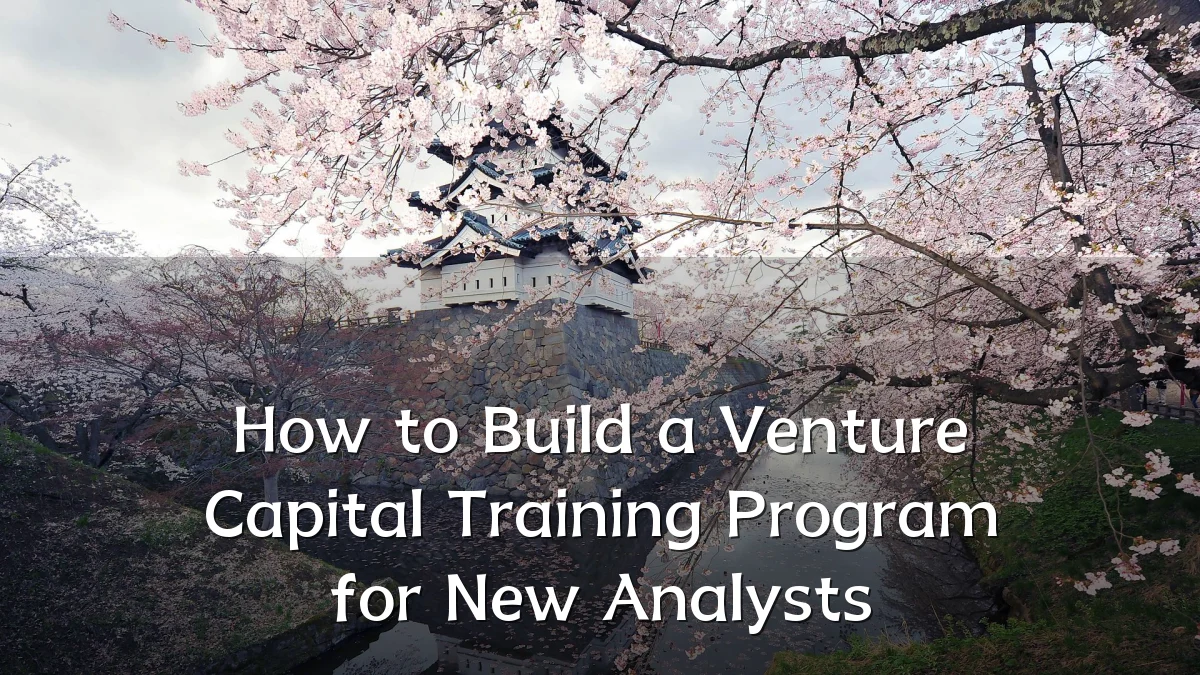 How to Build a Venture Capital Training Program for New Analysts