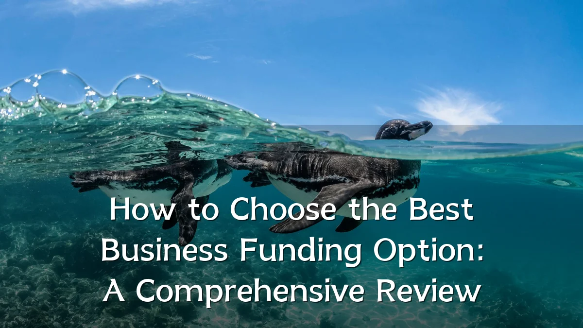 How to Choose the Best Business Funding Option: A Comprehensive Review