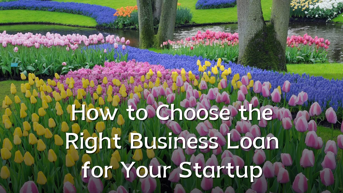 How to Choose the Right Business Loan for Your Startup