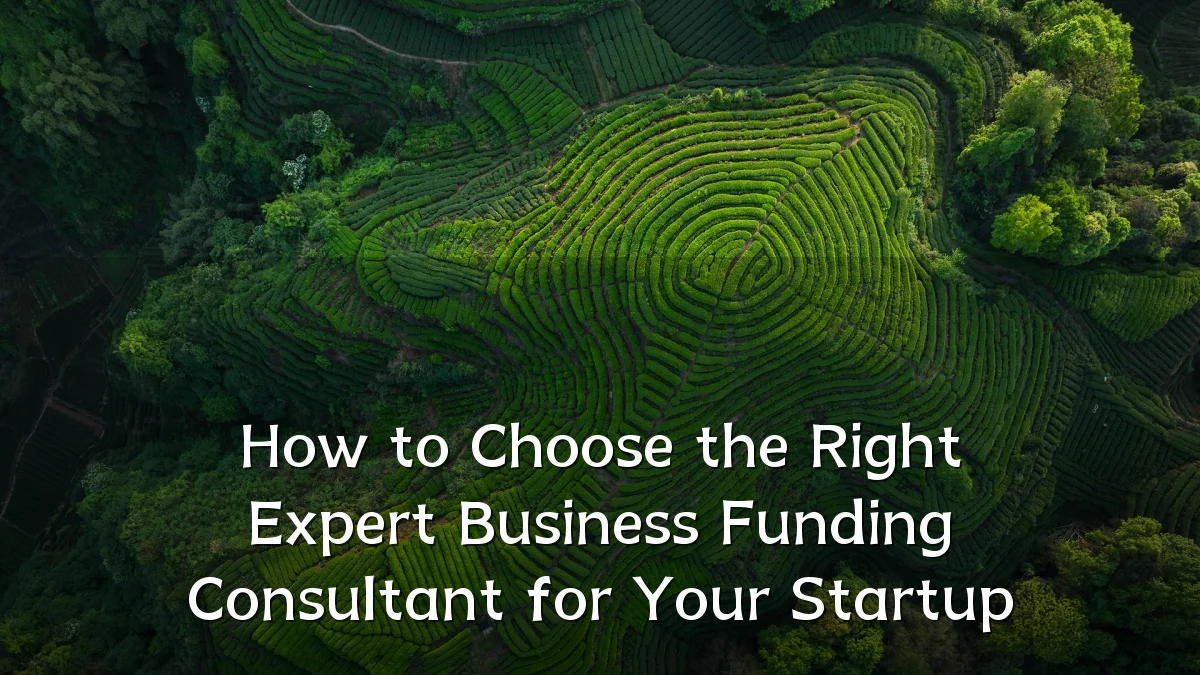 How to Choose the Right Expert Business Funding Consultant for Your Startup