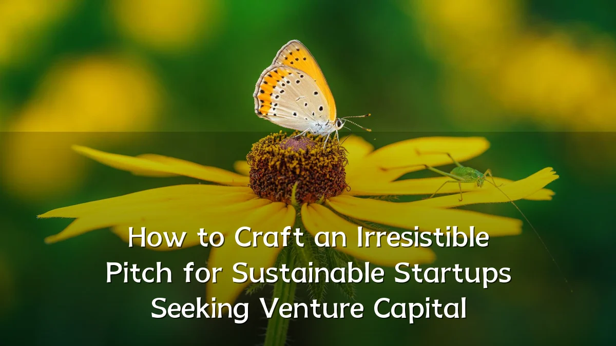 How to Craft an Irresistible Pitch for Sustainable Startups Seeking Venture Capital