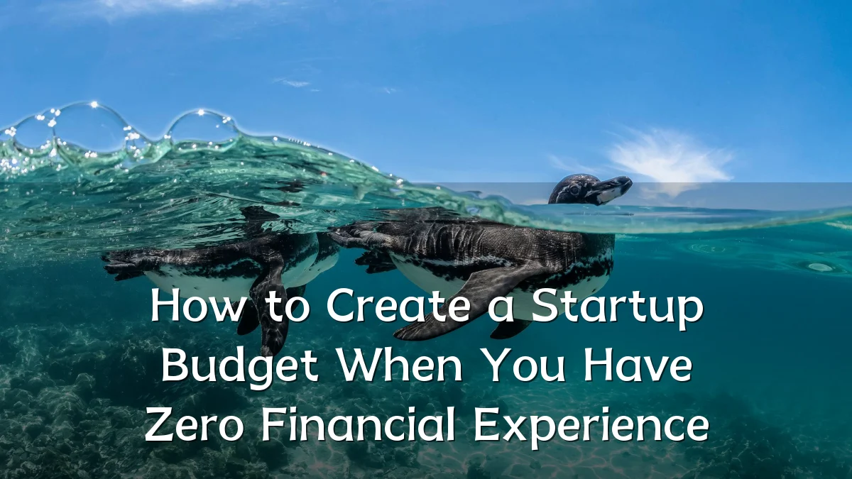 How to Create a Startup Budget When You Have Zero Financial Experience