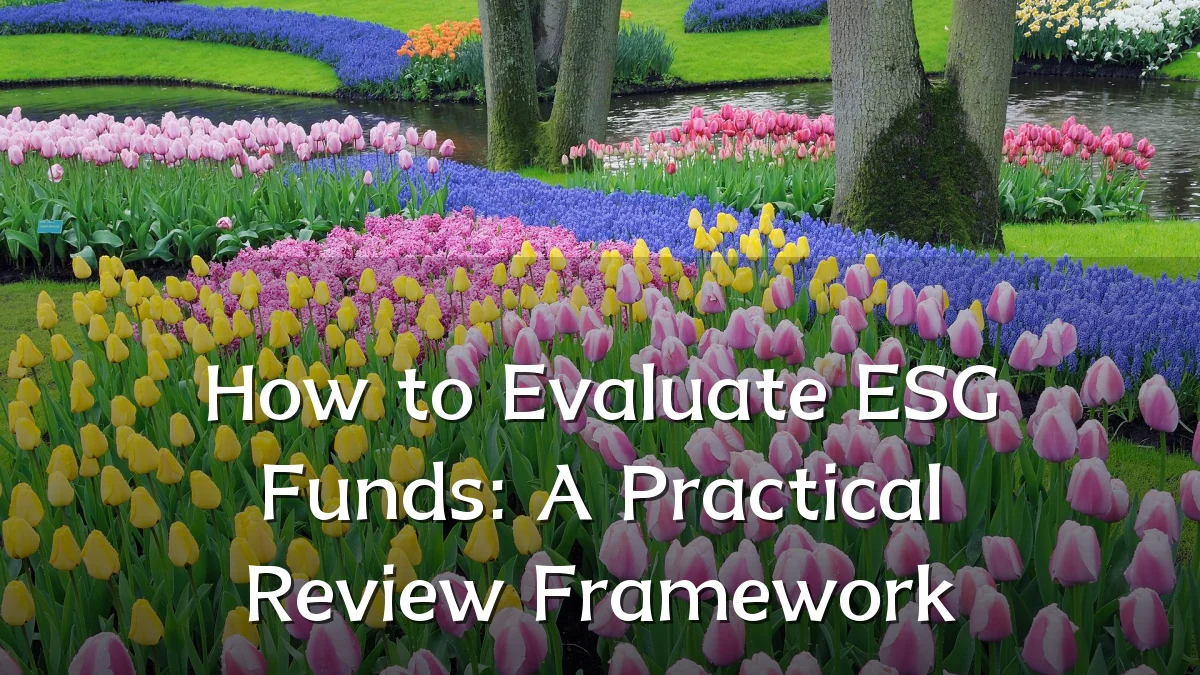 How to Evaluate ESG Funds: A Practical Review Framework