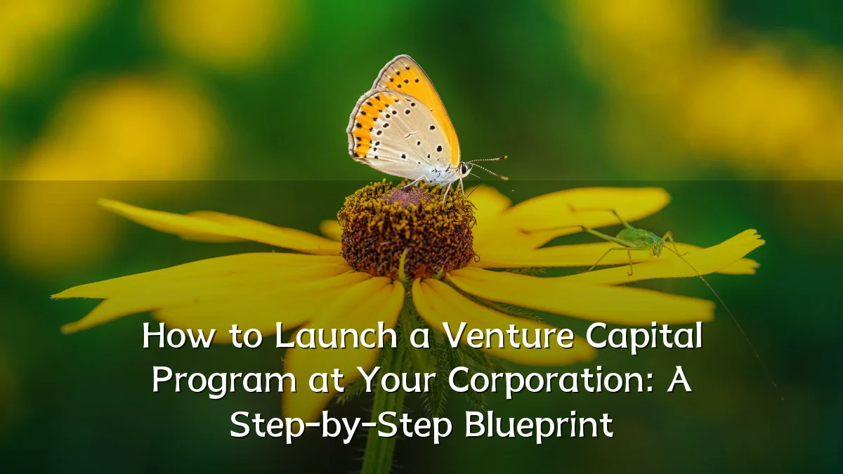 How to Launch a Venture Capital Program at Your Corporation: A Step-by-Step Blueprint