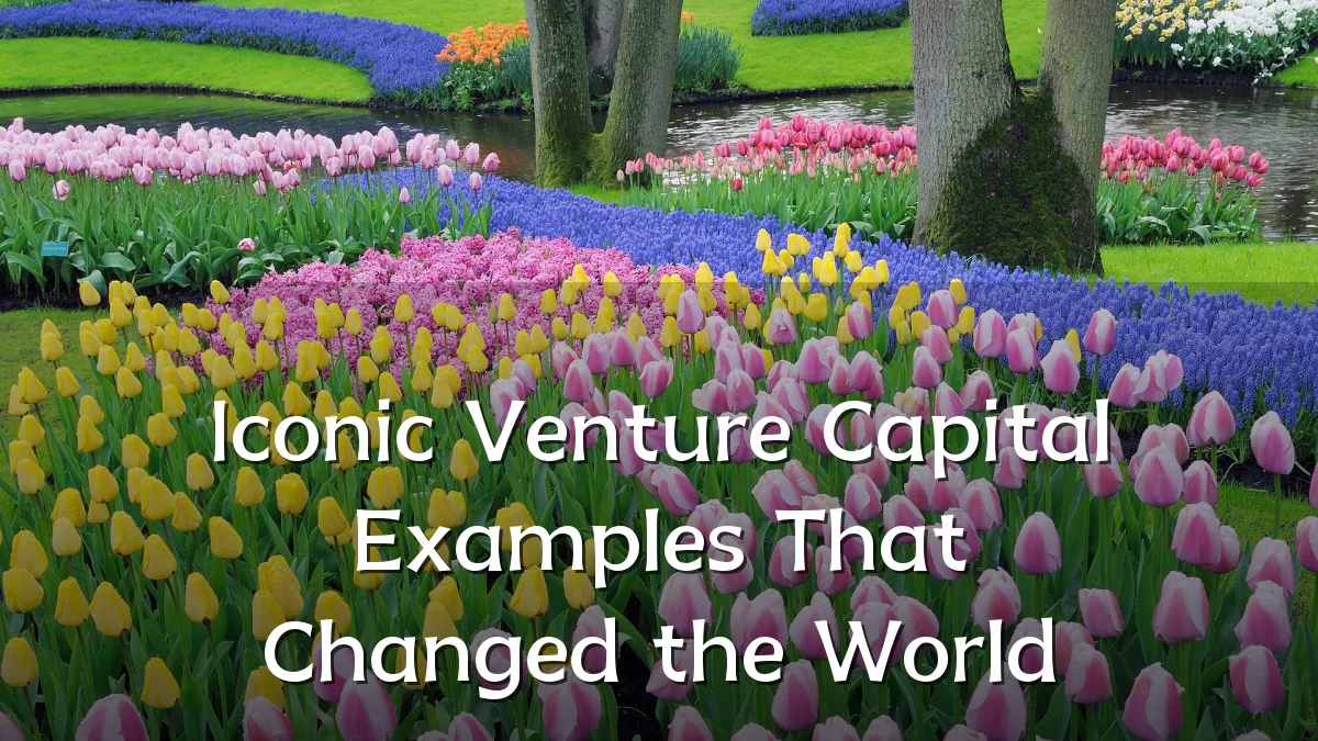 Iconic Venture Capital Examples That Changed the World