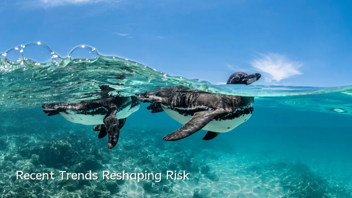 Recent Trends Reshaping Risk