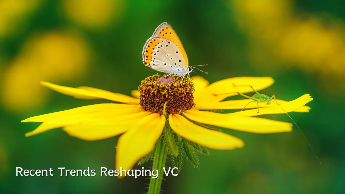 Recent Trends Reshaping VC