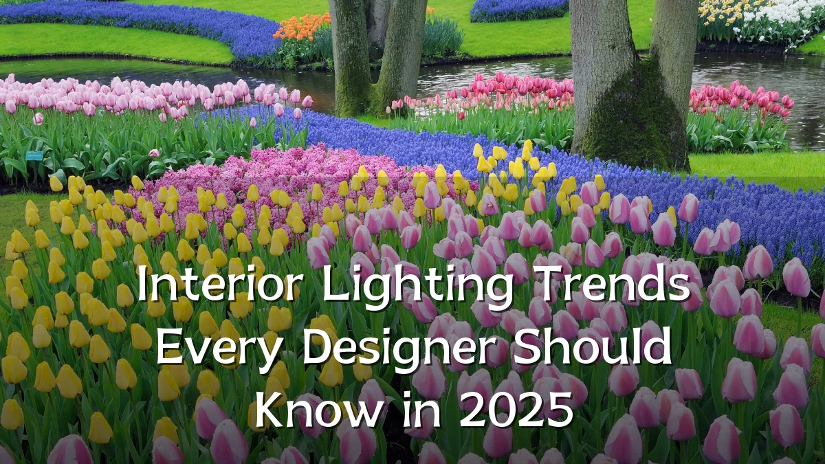 Interior Lighting Trends Every Designer Should Know in 2025