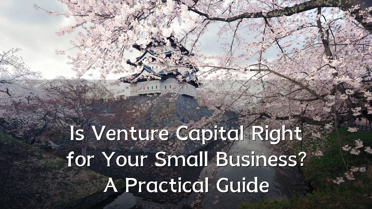 Is Venture Capital Right for Your Small Business? A Practical Guide