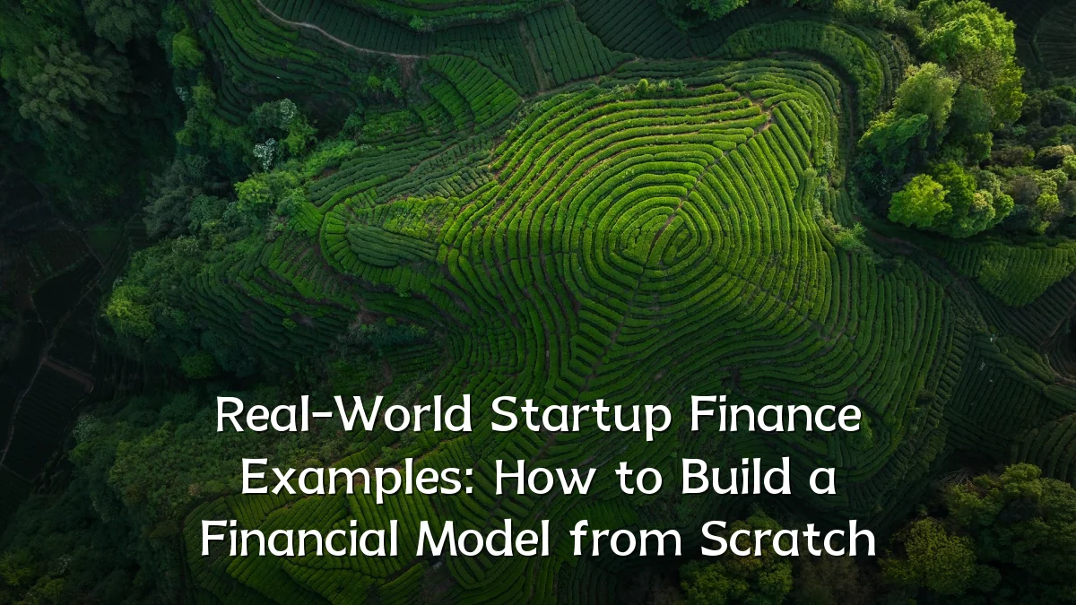 Real-World Startup Finance Examples: How to Build a Financial Model from Scratch