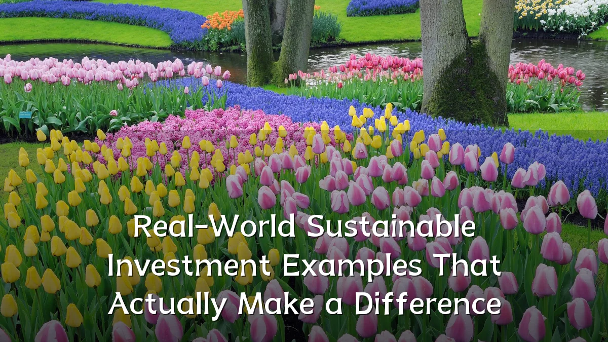 Real-World Sustainable Investment Examples That Actually Make a Difference