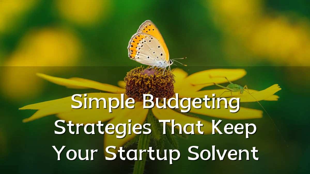 Simple Budgeting Strategies That Keep Your Startup Solvent