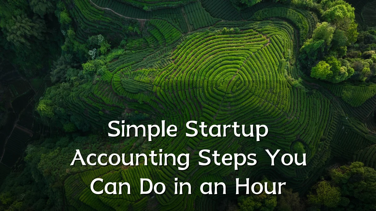 Simple Startup Accounting Steps You Can Do in an Hour