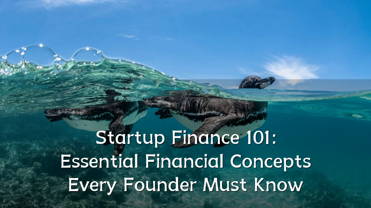 Startup Finance 101: Essential Financial Concepts Every Founder Must Know