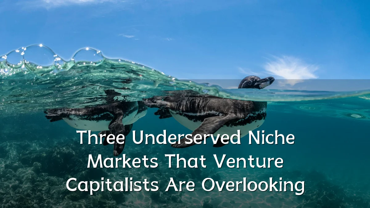 Three Underserved Niche Markets That Venture Capitalists Are Overlooking