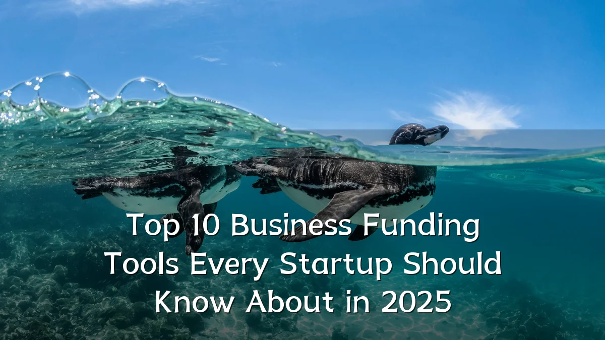 Top 10 Business Funding Tools Every Startup Should Know About in 2025