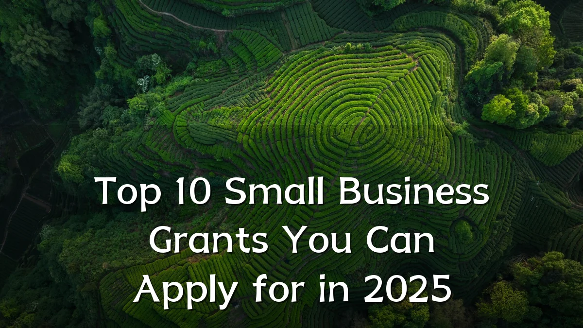 Top 10 Small Business Grants You Can Apply for in 2025