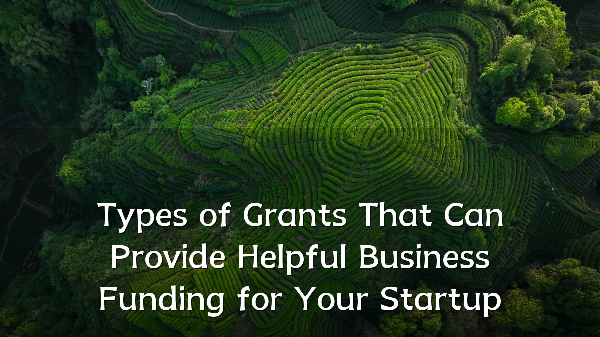 Types of Grants That Can Provide Helpful Business Funding for Your Startup