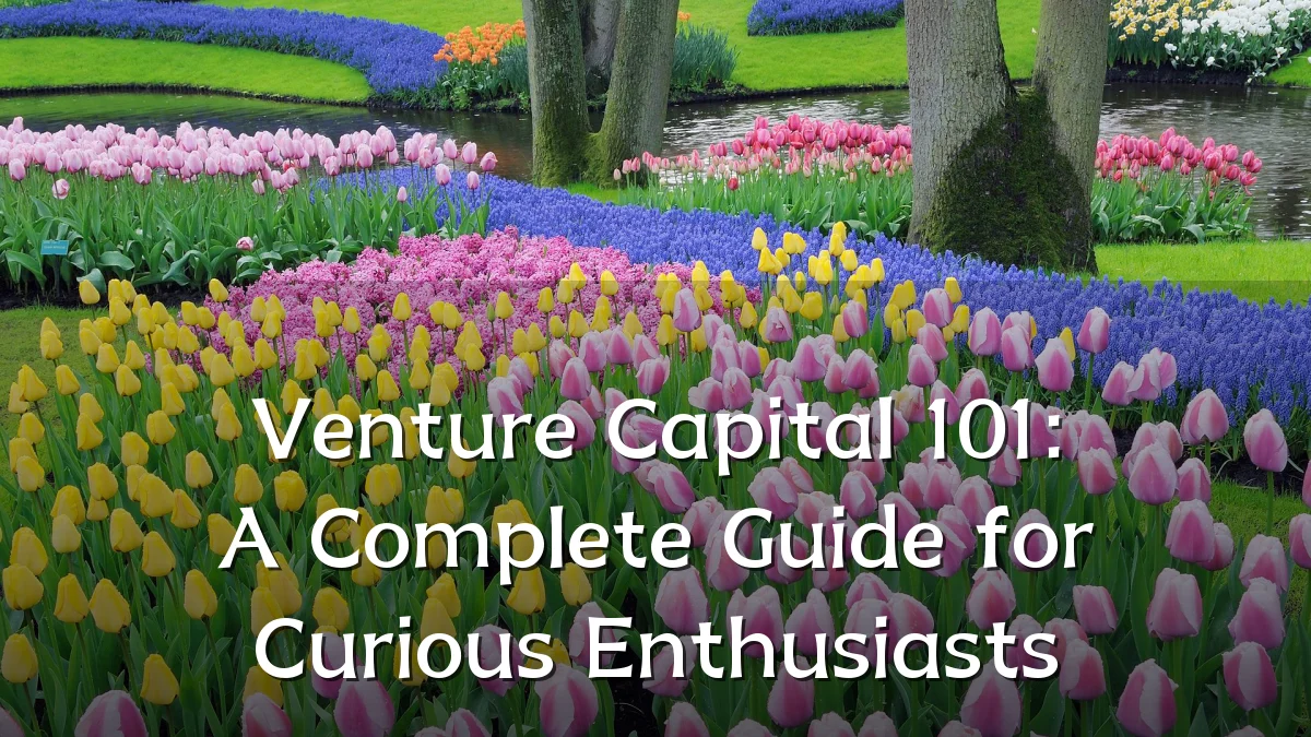 Venture Capital 101: A Complete Guide for Curious Enthusiasts