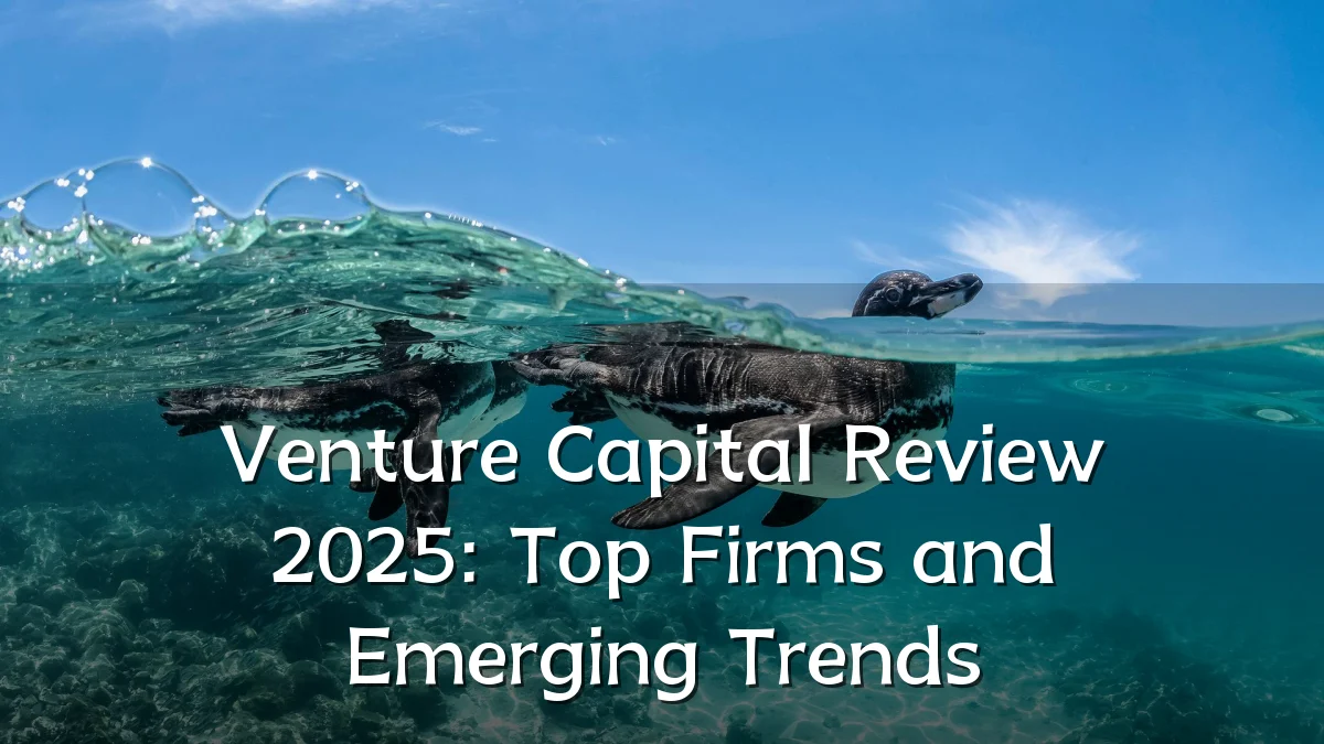Venture Capital Review 2025: Top Firms and Emerging Trends