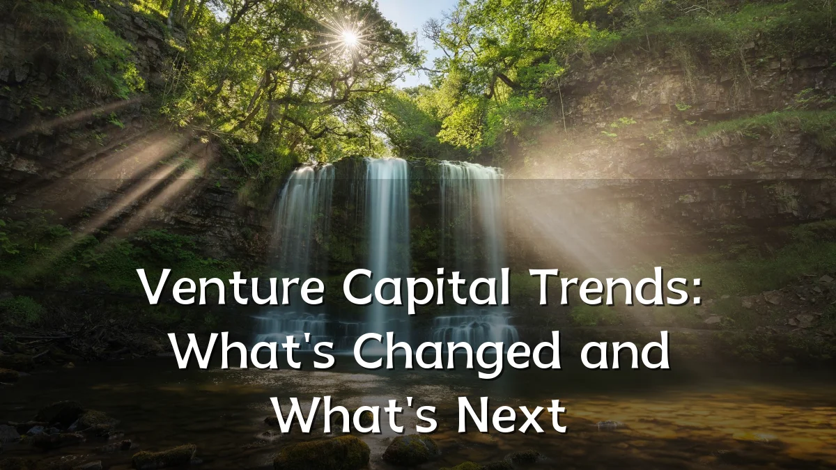 Venture Capital Trends: What's Changed and What's Next