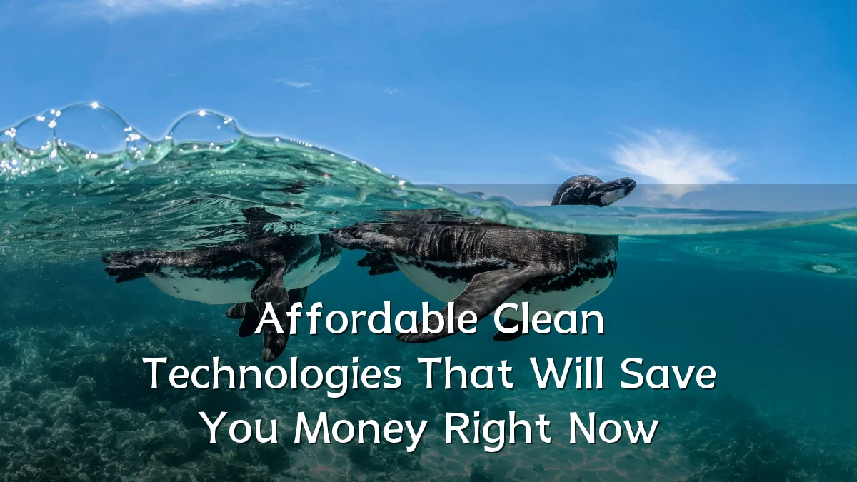 Affordable Clean Technologies That Will Save You Money Right Now