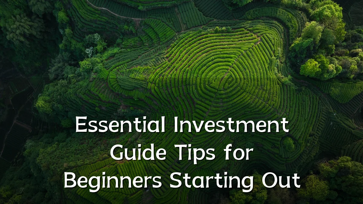 Essential Investment Guide Tips for Beginners Starting Out