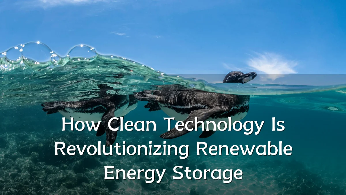 How Clean Technology Is Revolutionizing Renewable Energy Storage