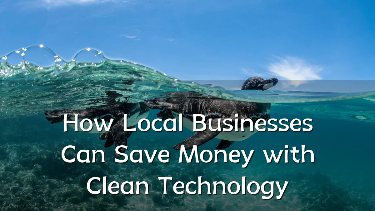 How Local Businesses Can Save Money with Clean Technology