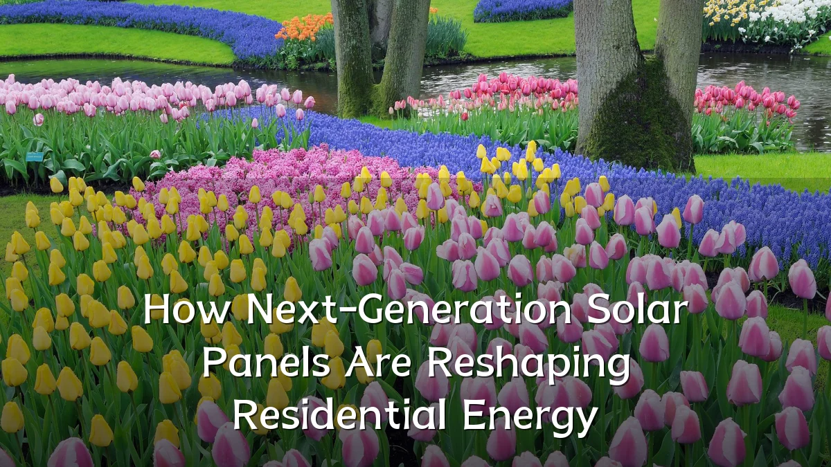 How Next-Generation Solar Panels Are Reshaping Residential Energy