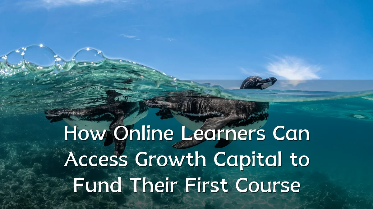 How Online Learners Can Access Growth Capital to Fund Their First Course