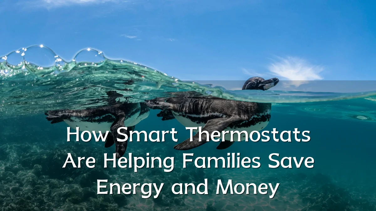 How Smart Thermostats Are Helping Families Save Energy and Money