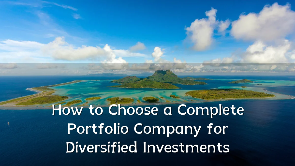 How to Choose a Complete Portfolio Company for Diversified Investments
