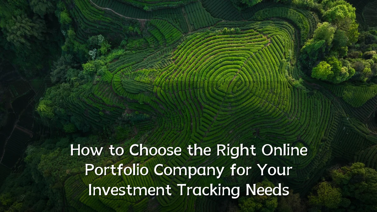 How to Choose the Right Online Portfolio Company for Your Investment Tracking Needs