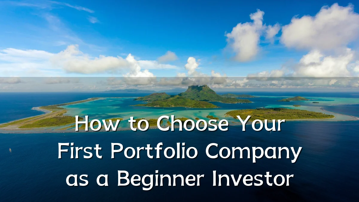 How to Choose Your First Portfolio Company as a Beginner Investor