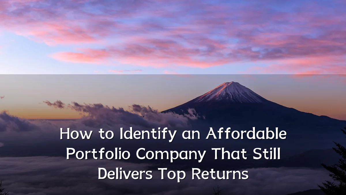 How to Identify an Affordable Portfolio Company That Still Delivers Top Returns